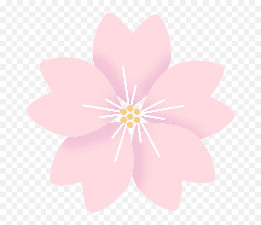 Cherry Blossom Flowers Sakura Emoji,Sakura Sakura Sweet Emotion