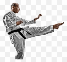 Home Emoji,Karate Kick Girl Emoticon