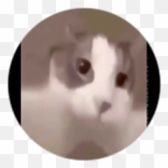 Roblox Emoji,Cat Emoji Discord