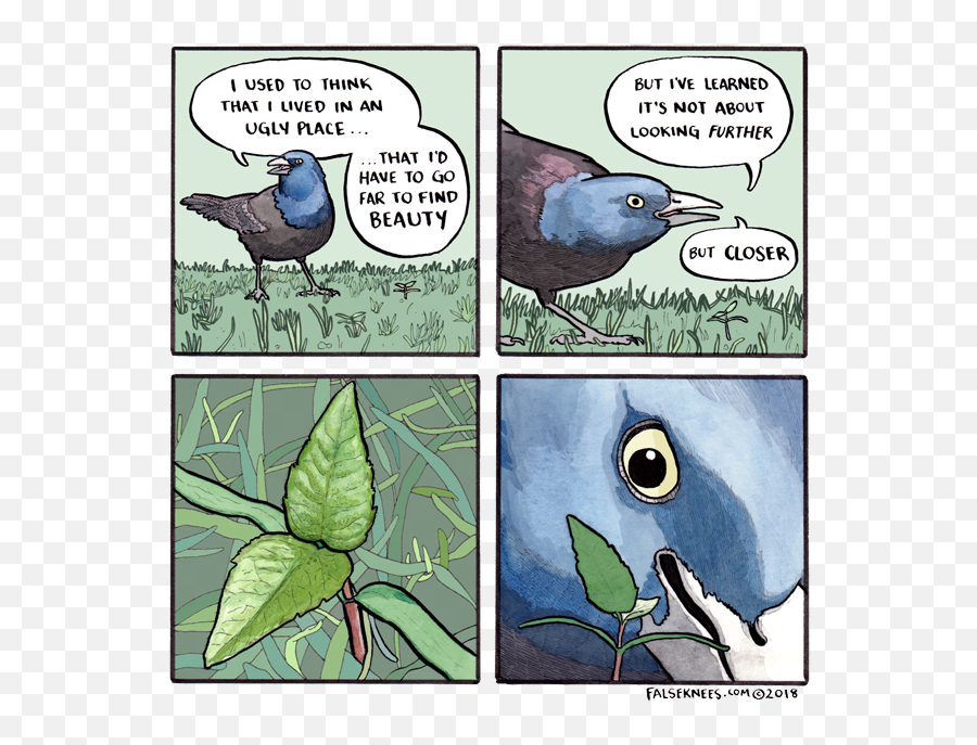 Bird False Knees Bird Comic - False Knees Comic Emoji,Raven Bird Emoji