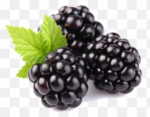 Fruits Et - Blackberry Fruit Emoji,Emotion Blackberry