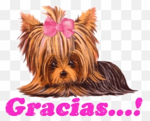 16 Cute Wechat Teddy Dog Emoji Gifs Emoticons Dog Emoticon - Gif De Gracias De Perritos,Wechat Emoji