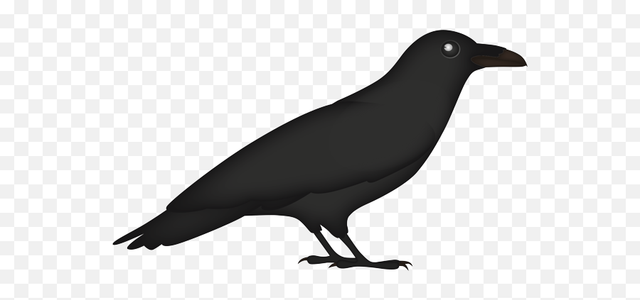 The Best 20 Crow Emoji Transparent - Raven Emoji,Emoji For Bird