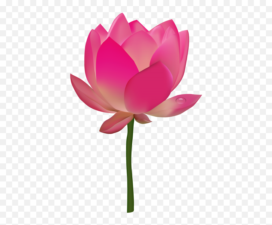 Group Coaching Call - Envisioning My Future Clipart Transparent Flower Png Emoji,Plant, Emotions, Clipart