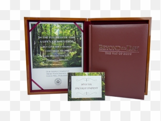 Beyond This Day With Wooden Chest - Beyond The Day Memory Keepsake Box Emoji,Emotions Close To Chest
