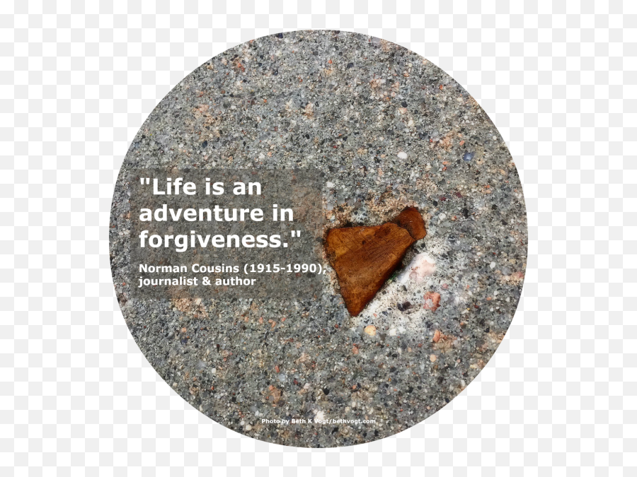 Forgiveness Beth K Vogt Emoji,Is Forgiving An Emotion