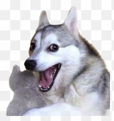 Funny Memes 2021 U2013 Apps On Google Play Emoji,Chow Chow Emojis