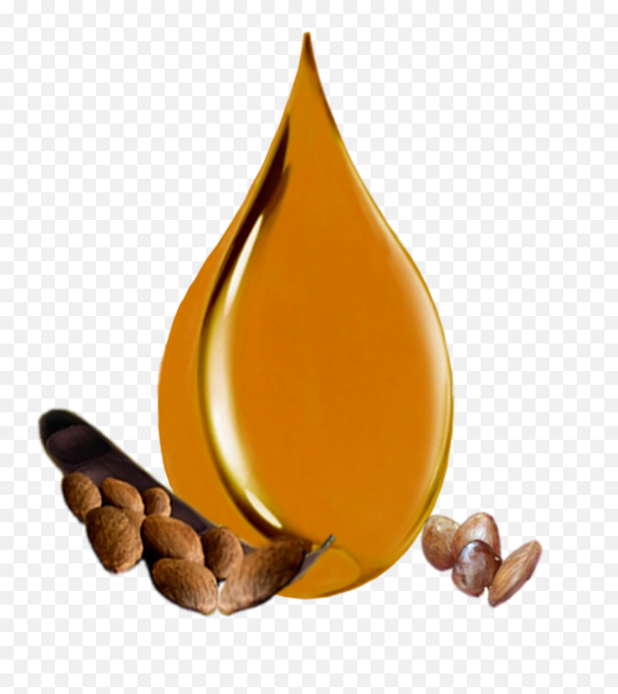 Wild - Harvested Unrefined Pracaxi Oil Emoji,Beans. Emojipedia
