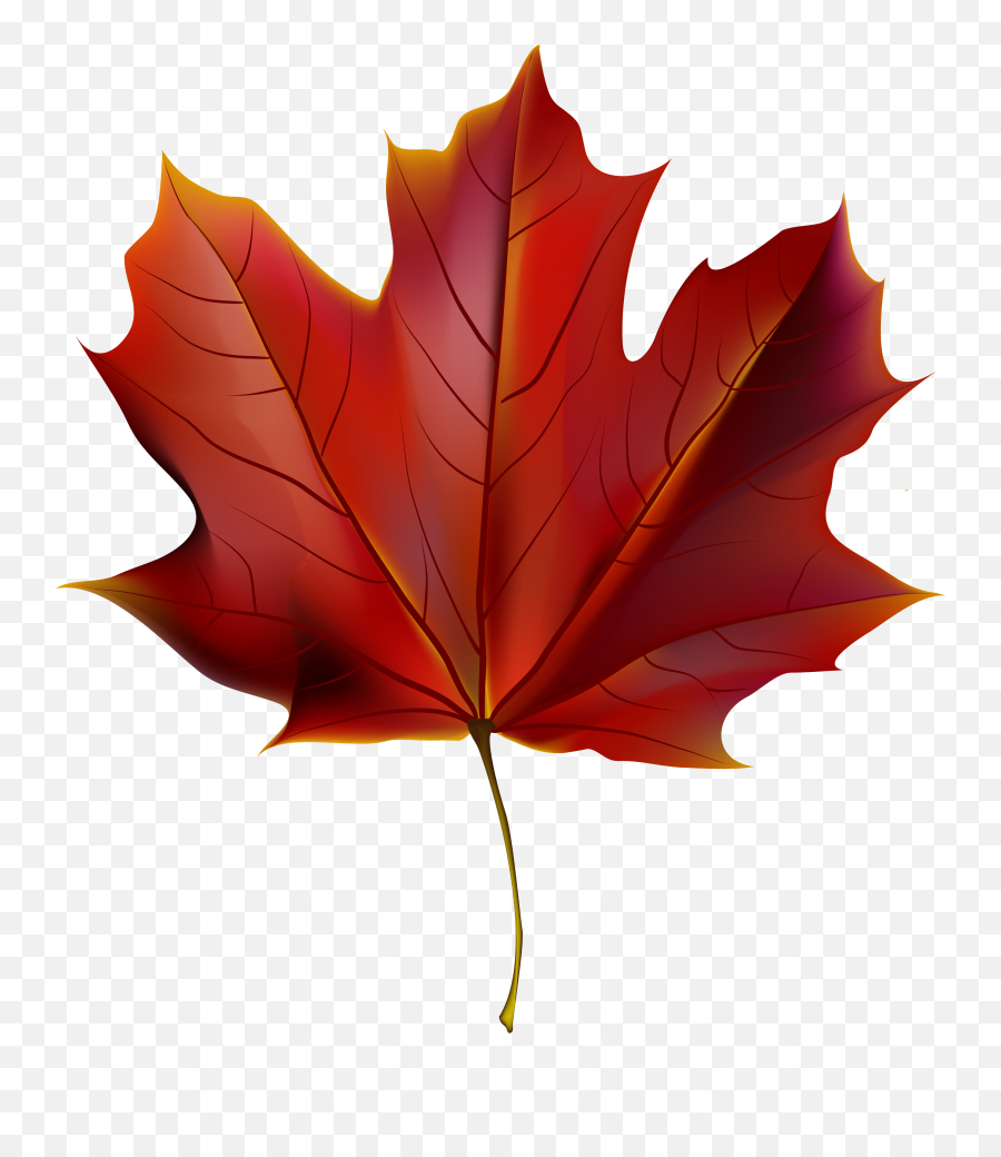 Clipart Leaves Red Fall Leaf Clipart Leaves Red Fall Leaf - Red Autumn Leaves Clipart Emoji,Fall Leave Emoji