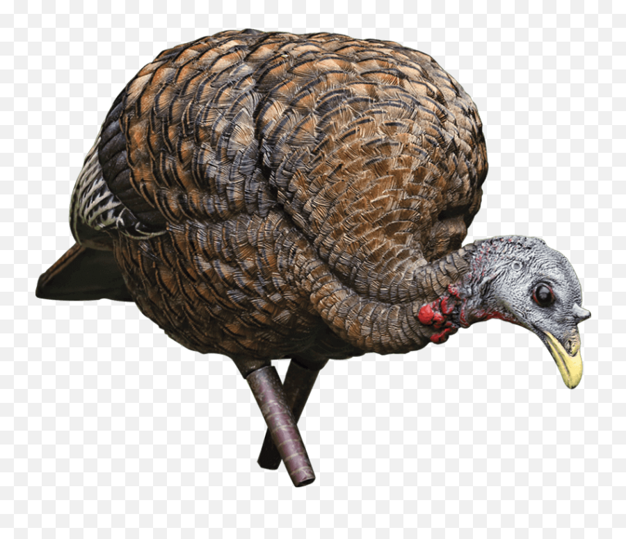 Nwtfs Hunters Christmas Wish List - Avian X Lcd Feeding Hen Turkey Emoji,Turkey Hunting Killshot Emojis