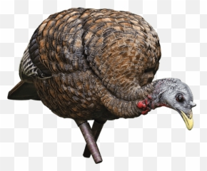 Nwtfs Hunters Christmas Wish List - Avian X Lcd Feeding Hen Turkey Emoji,Turkey Hunting Killshot Emojis