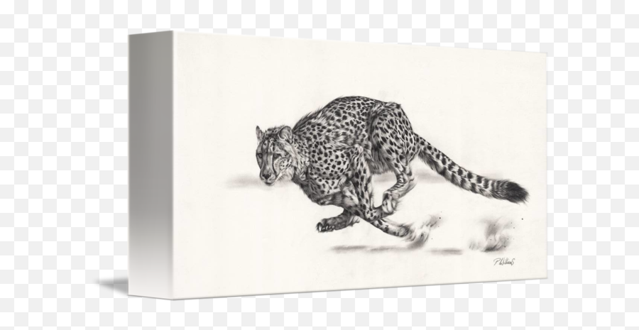 Hell For Leather Cheetah Drawing By Peter Williams - Cheetah Running Realistic Drawing Emoji,Drawimg Emotions With Color Pastels