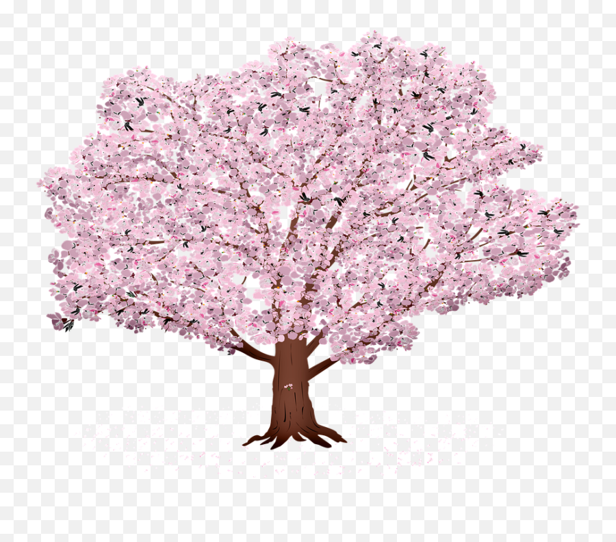 Free Photo Sakura Spring Sakura Tree - Sakura Tree Png Emoji,Sakura Sakura Sweet Emotion
