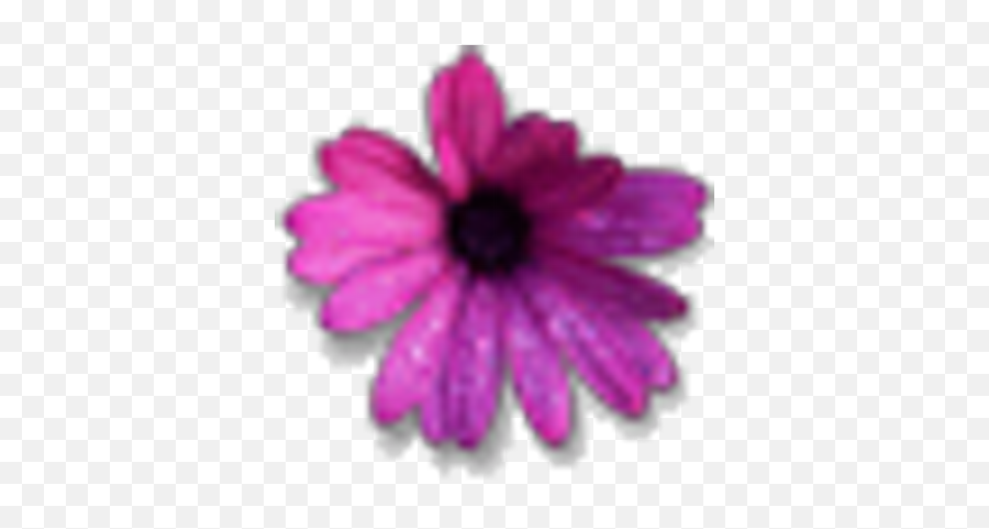 Caroline Pelham C3pohaha Twitter Emoji,Flower Emoji With Peace Sign