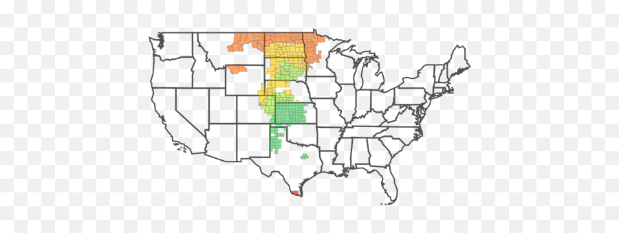 Crop Insurance Emoji,Kansas Sunflower Emoticon