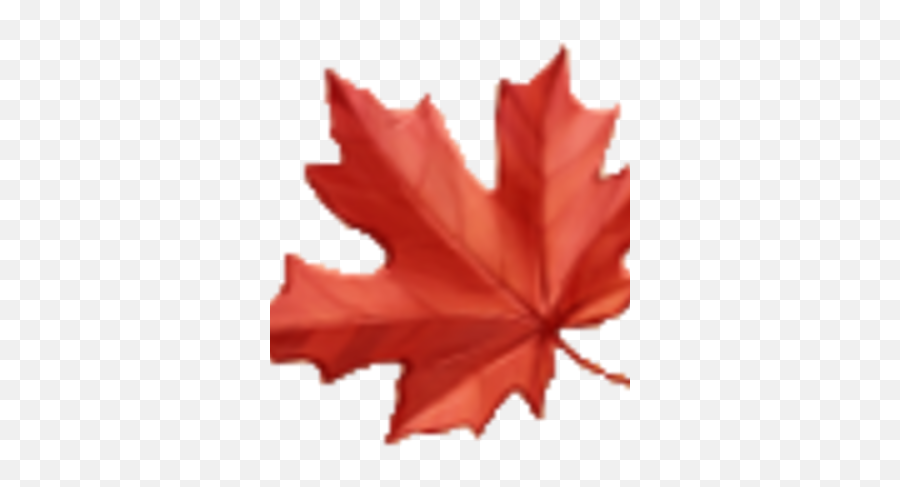 Maple Leaf Farland Wiki Fandom Emoji,Autmn Emoji