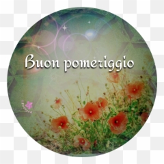 Buon Pomeriggio Nel 2020 - Buon Pomeriggio Con Dipinto Emoji,Poppy Emoji Copy And Paste