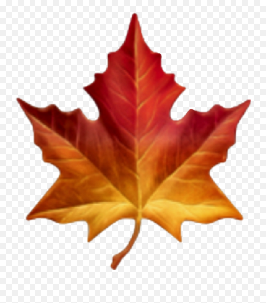 Download Hd Feuille Sticker - Maple Leaf Emoji Transparent Transparent Leaf Emoji Png,Canadian Emoji