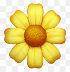 Sunflower Girassol Tumblr Png Emoji,Tumblr Transparent Png Emoji