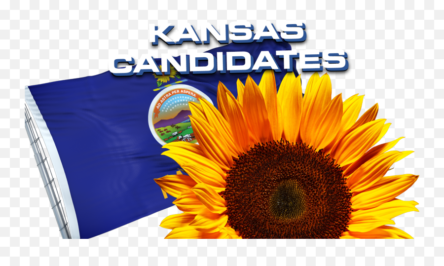 Kansascandidates Emoji,Kansas Sunflower Emoticon