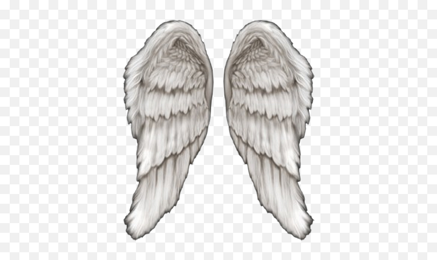 Angel Wings Psd Official Psds Emoji,Angel Wings Emoji