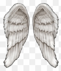 Angel Wings Psd Official Psds Emoji,Angel Wings Emoji