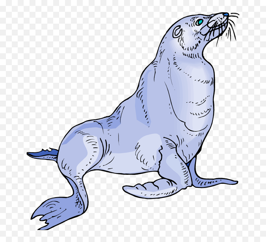 Sea Lion Png Download Free Clip Art - Clip Art Emoji,Sea Lion Emoji