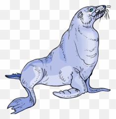 Sea Lion Png Download Free Clip Art - Clip Art Emoji,Sea Lion Emoji