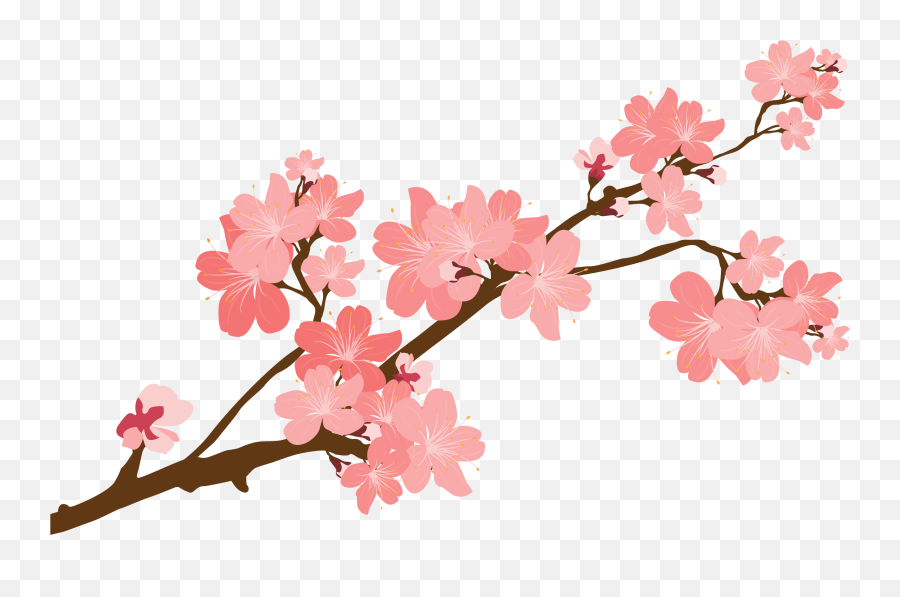 Cherry Blossom Clipart At Getdrawingscom Free For Personal - Transparent Background Cherry Blossoms Clipart Emoji,Cherry Blossom Emoticon