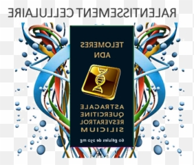 Archives Des Vibra Sound Adn - Page 14 Sur 17 Business Language Emoji,Meridien Vessie Emotion