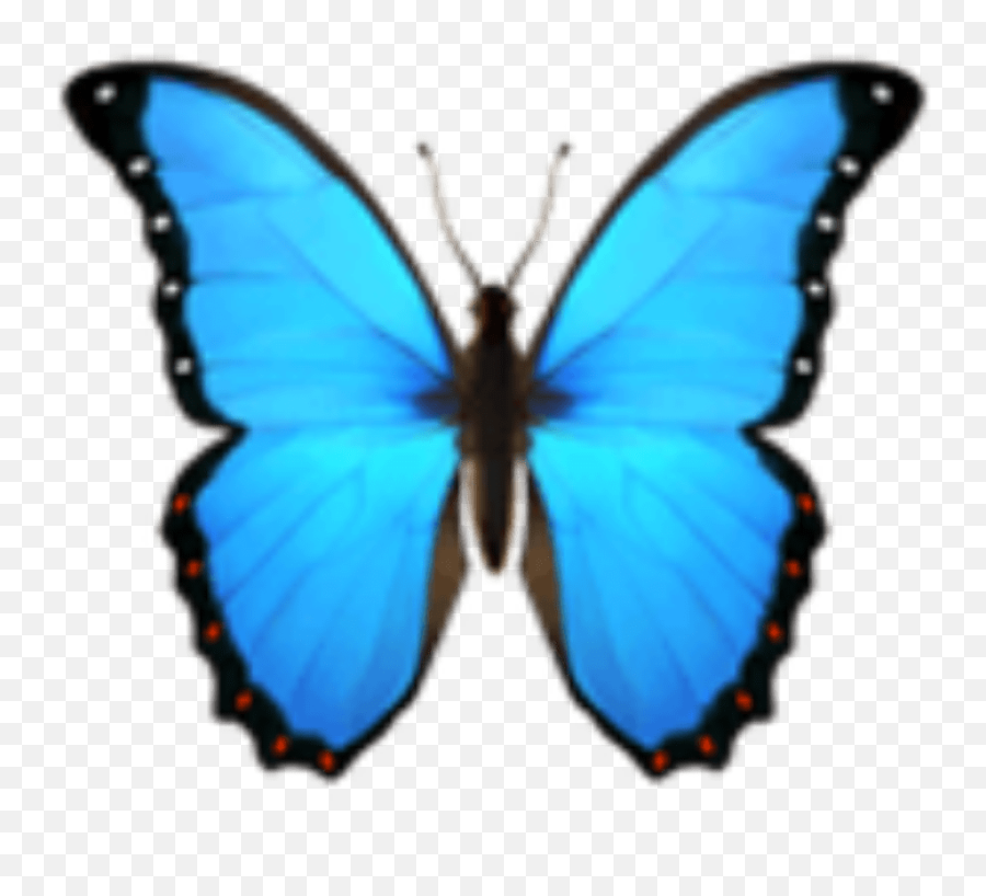 The Butterfly Emoji Pam Roy Blog - Butterfly Emoji Transparent Background,What Does The Blue Heart Emoji Mean