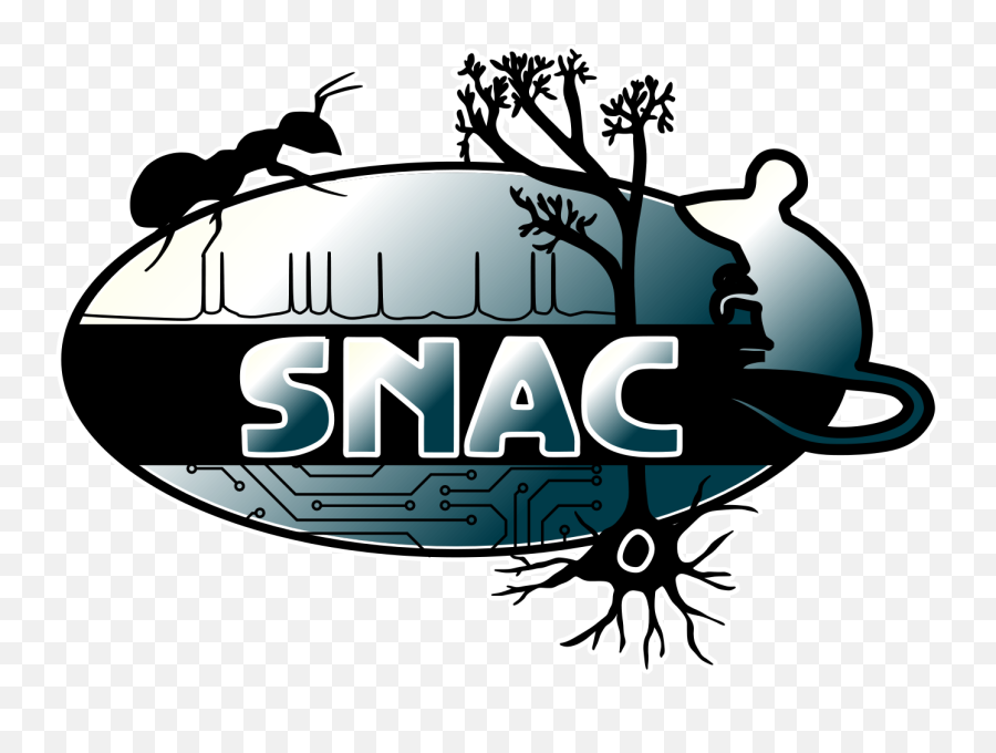 Publications Snac - University Of Sussex Neuroscience Logo Emoji,Beutiful Predator - Synthetic Emotions