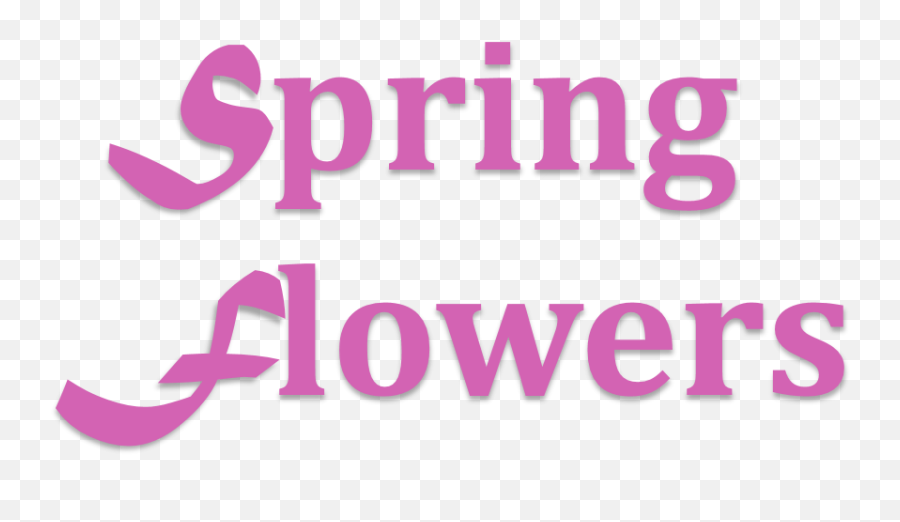 Flowers For Love U0026 Romance Delivery St Marys Oh - Spring Language Emoji,Daffodil Pink Emotion