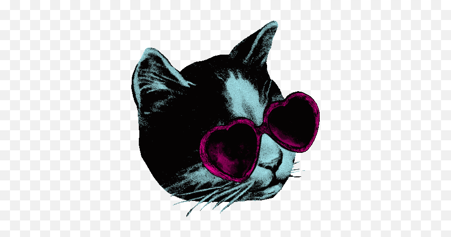 Heart Shaped Sunglasses Gifs - Get The Best Gif On Gifer Transparent Gif Sunglasses Cat Emoji,David Corruso Emoticon