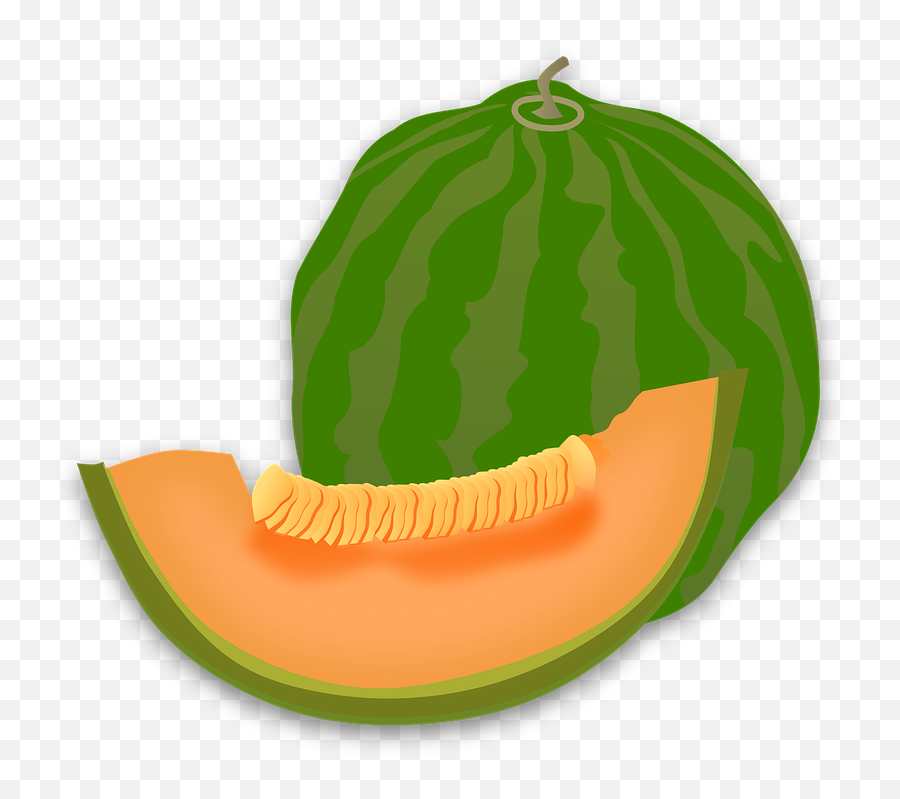 Yummy Melon Clip Art At Clker - Png Clipart Melon Melon Cartoon Png Emoji,Melon Emoji