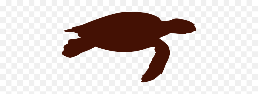 Sea Turtle Png U0026 Svg Transparent Background To Download Emoji,Turtle Emoji On My Device