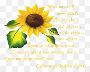 Czyli Te Co Lubi Miód Cz - Fresh Emoji,Webfetti Emoticons
