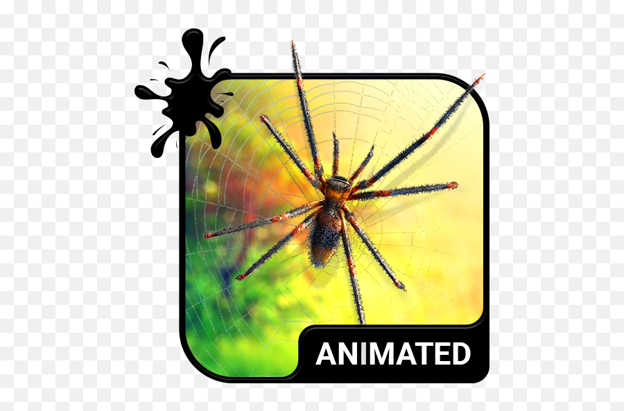 Spider Animated Keyboard Live Wallpaper - Apps On Google Play Computer Keyboard Emoji,Spider Emoji