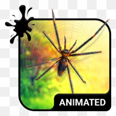 Spider Animated Keyboard Live Wallpaper - Apps On Google Play Computer Keyboard Emoji,Spider Emoji