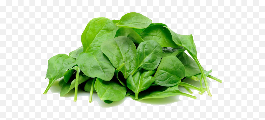 Spinach Food Salad Leaves Lettuce - Baby Spinach Emoji,Spinach Emoji