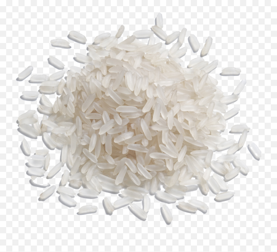 Rice Png Photos Png Svg Clip Art For Web - Download Clip Grain Of Rice Png Emoji,Rice Bowl Emoji