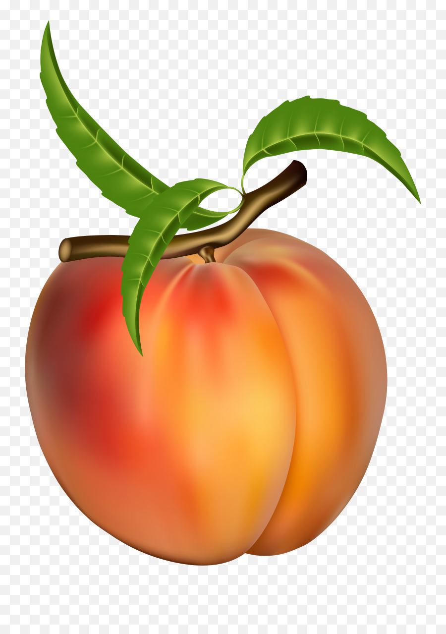 Free Peach Transparent Download Free - Peach Fruit Emoji,Peach Emoji Transparent