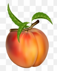 Free Peach Transparent Download Free - Peach Fruit Emoji,Peach Emoji Transparent