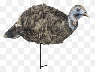 March 2015 - Montana Turkey Decoys Emoji,Turkey Hunting Killshot Emojis
