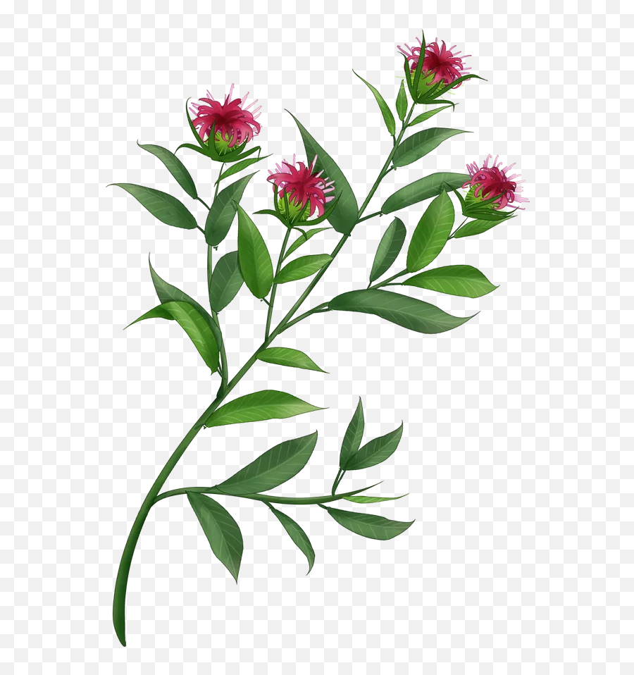Colorful Life - Milk Thistle Emoji,Emotions Close To Chest