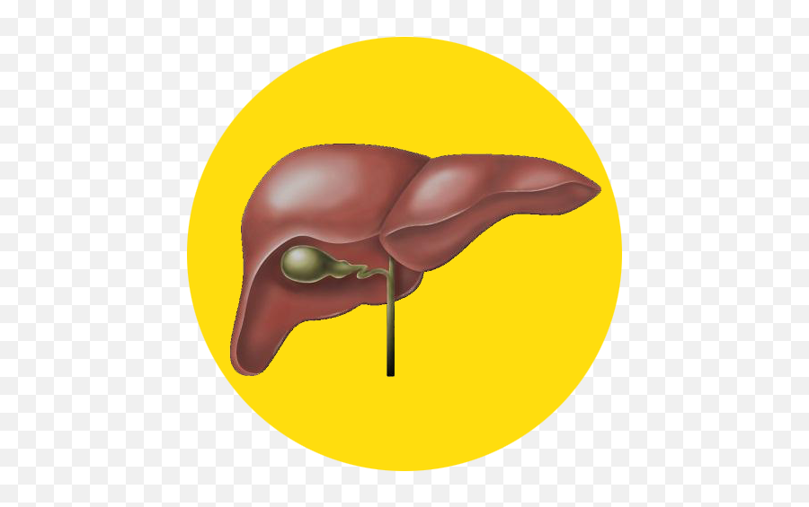 Cancer De Higado By Danielcambero02 On Emaze - Rotafolio De Hepatitis B Emoji,Fotos Con Emojis Enfermo