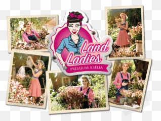 Land Ladies - Girly Emoji,Abelia 'sweet Emotion'