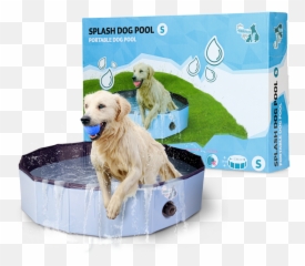 Producto Para Perro De Verano Emoji,Emoji De Pasear Perro