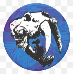 Sabertooth Skull Emoji,Skull & Bones Bird Sailboat Emoji