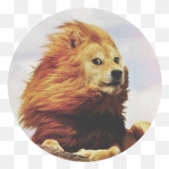 Marblecards - Collect The Web Emoji,Grizzly Bear Emojis Ffor Discord